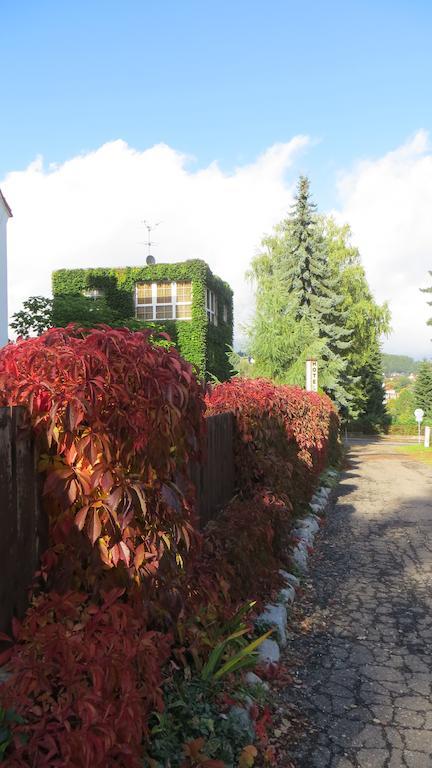 Hotel Alfa Trutnov Eksteriør bilde