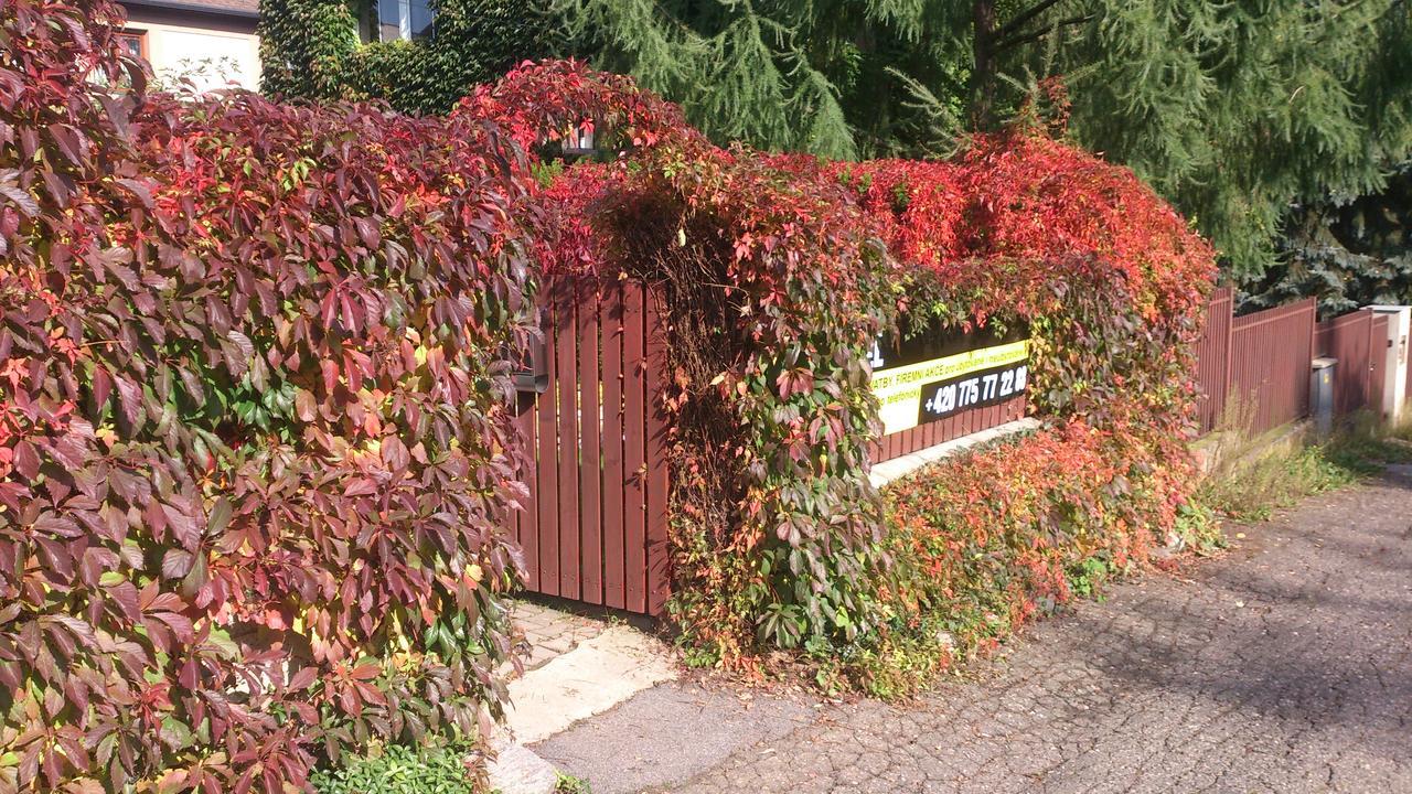 Hotel Alfa Trutnov Eksteriør bilde